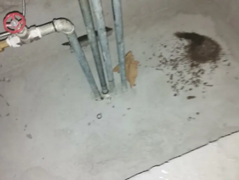 铁岭卫生间测漏水价格明细